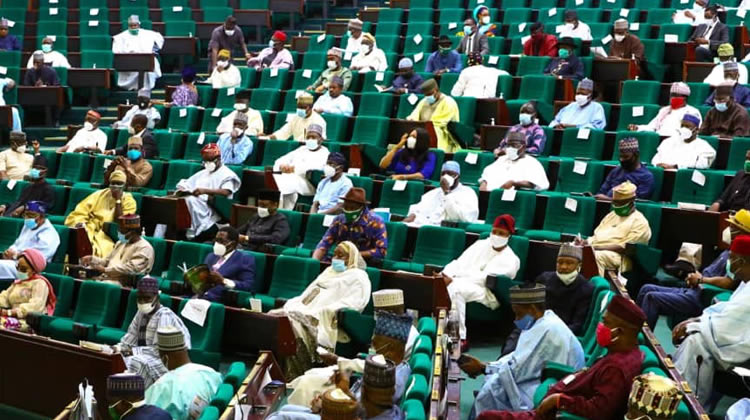 Reps urge FG to declare state of emergency in health sector