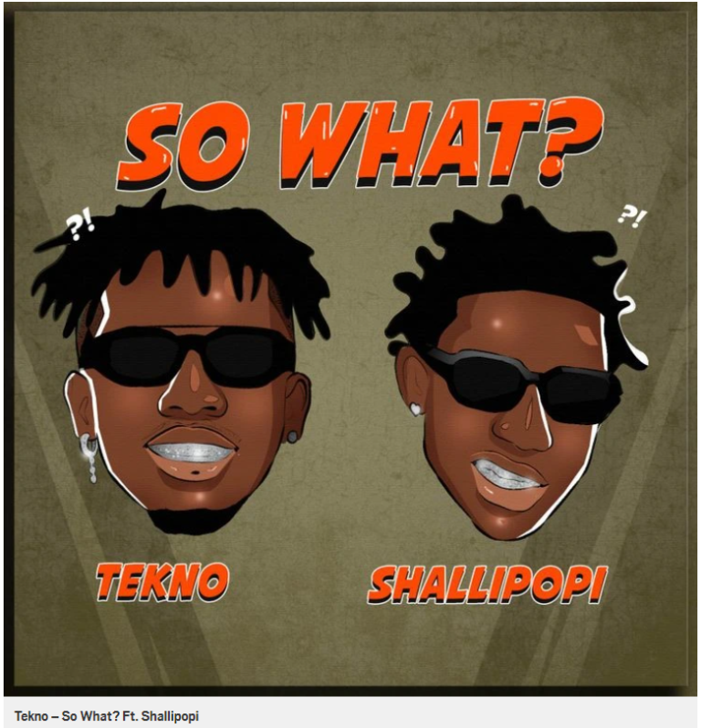 Tekno – So What? Ft. Shallipopi