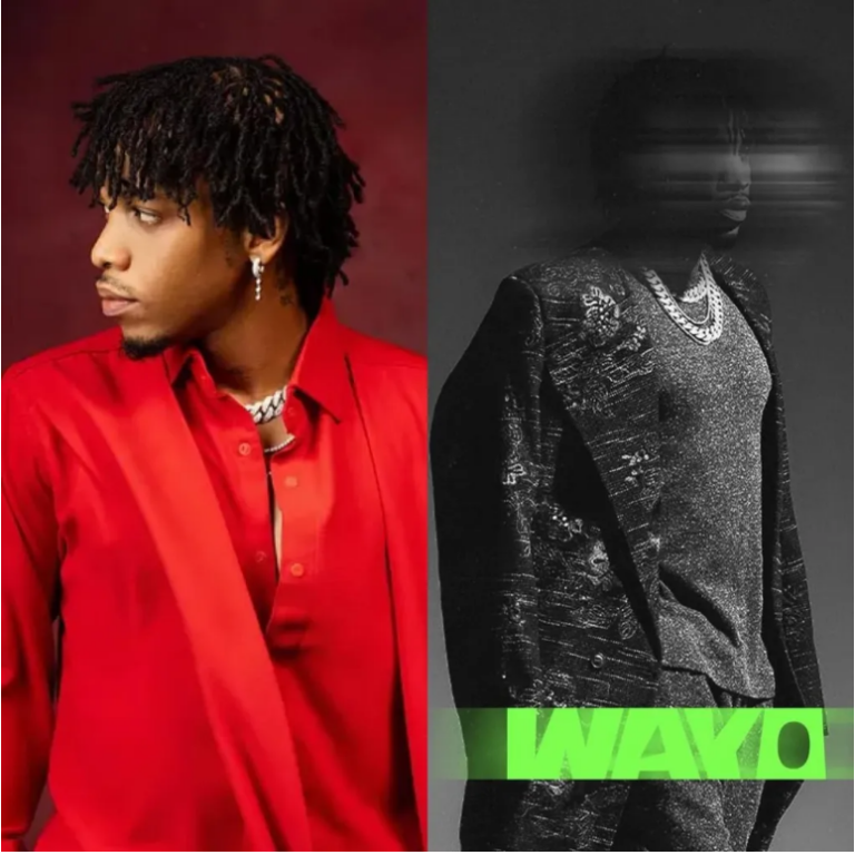 Tekno – Wayo